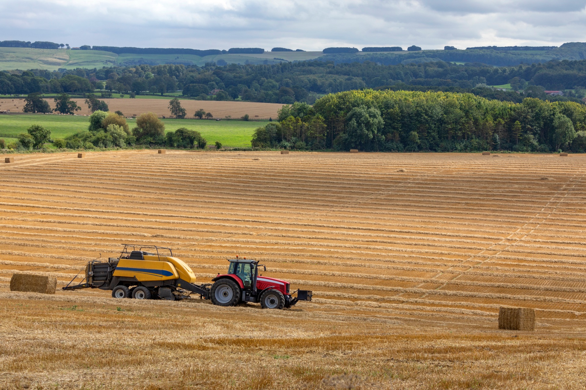 Agricultural landscape